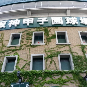 【ちなつ風景編】😄⚾✨