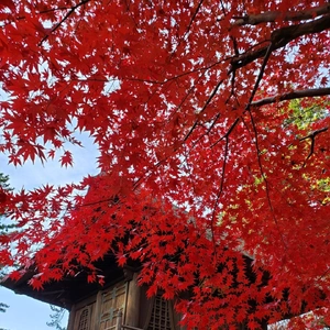 【ちなつ】携帯写真館