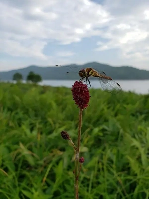【ちなつ昆虫編】😄🍁✨