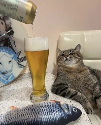 おっはニャンฅ•ﻌ•ฅ☀️✨