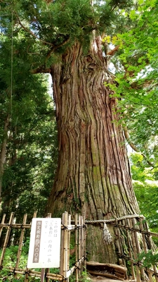 【ちなつ風景編】😄🌲✨