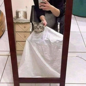 【ちなつ】です😄😺✨