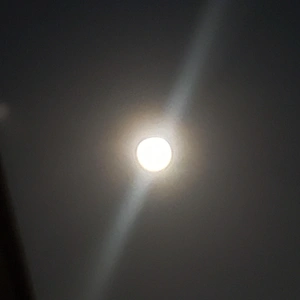 ✨🌕９月満月・コーンムーン🌕✨