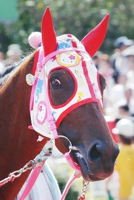 ハルウララ🐴☆✨