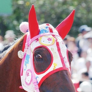 ハルウララ🐴☆✨