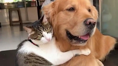 おっはニャンฅ•ﻌ•ฅ