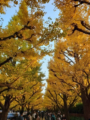 【ちなつ】携帯写真館