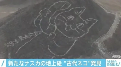 【ちなつ】です😄🐱🌃