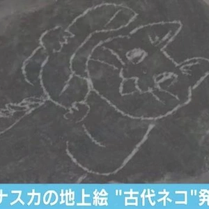 【ちなつ】です😄🐱🌃