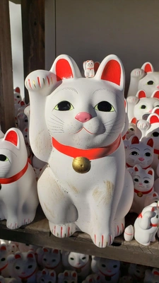 ✨😸【招き猫の日】😸✨