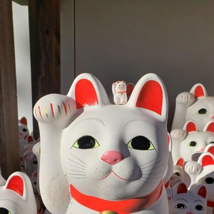 ✨😸【招き猫の日】😸✨