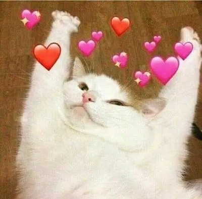おっはニャンฅ•ﻌ•ฅ☁️