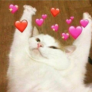 おっはニャンฅ•ﻌ•ฅ☁️