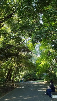 【ちなつ風景編】😄🌿✨
