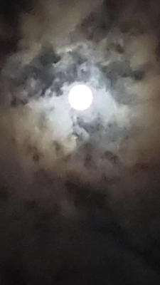 ✨🌕【中秋の名月・十五夜】🌕✨