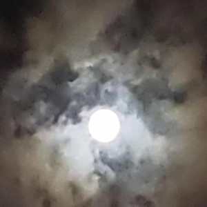 ✨🌕【中秋の名月・十五夜】🌕✨