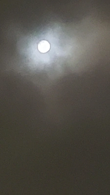 ✨🌕【10月満月・ハンターズムーン】🌕✨