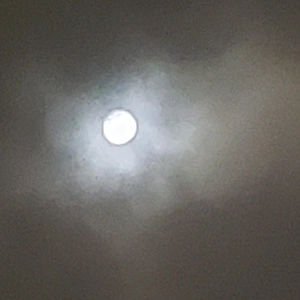 ✨🌕【10月満月・ハンターズムーン】🌕✨