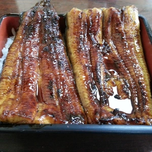 【ちなつ外食編】😄🍚✨