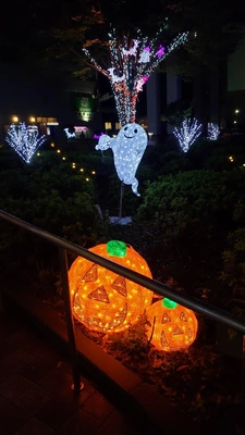 【ちなつイルミネーション編】😄🎃✨