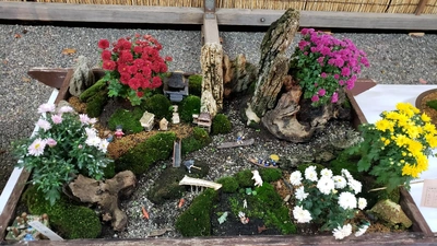【ちなつ植物編】😄🌳✨