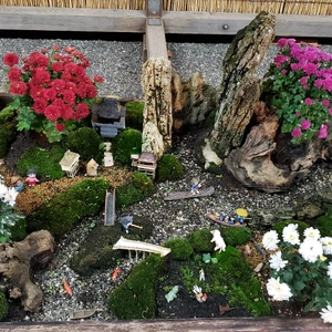 【ちなつ植物編】😄🌳✨