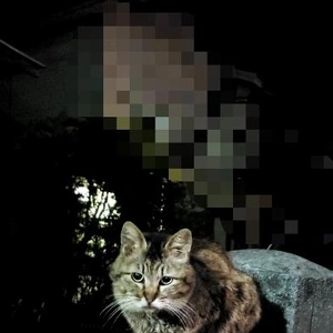 【ちなつ】です😄🐱🌃