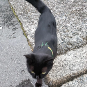 【ちなつ】です😄🐱🌃