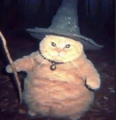 こにゃにゃちわ➰ฅ•ﻌ•ฅ☁️