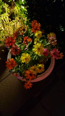 【ちなつ】です😄😺🌃