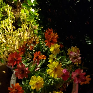 【ちなつ】です😄😺🌃