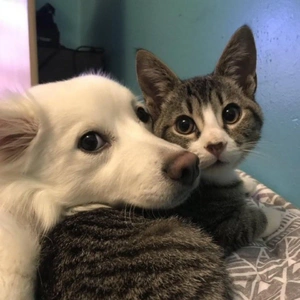 ฅ•ﻌ•ฅ☀️✨