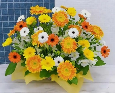 ✨🌼１１月誕生花・ガーベラ🌼✨