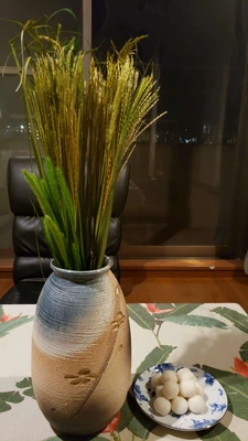 ✨🎑十三夜🎑✨