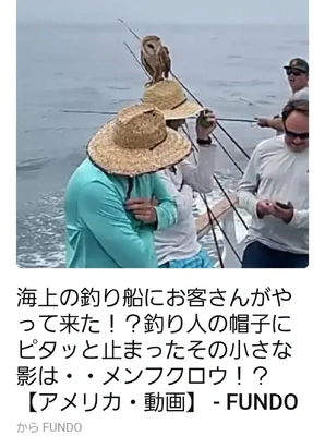 【ちなつ】です😄😺🌃