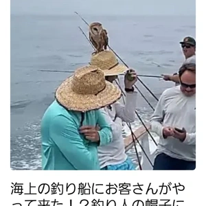 【ちなつ】です😄😺🌃