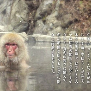 ✨❄️立冬❄️✨