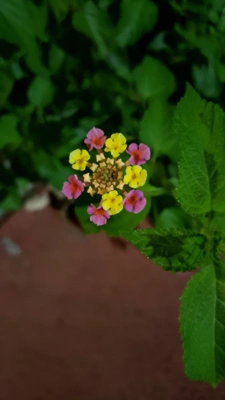 【ちなつ】です😄😺🌃