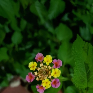 【ちなつ】です😄😺🌃