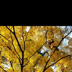 【ちなつ】携帯写真館