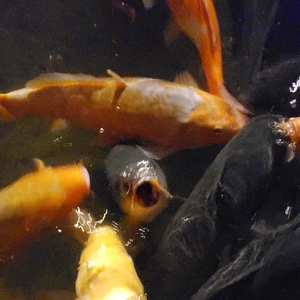 【ちなつ】です😄😺🌃