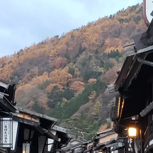 【ちなつ紅葉編】😄🍁✨