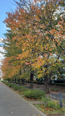 【ちなつ】です😄🍂✨