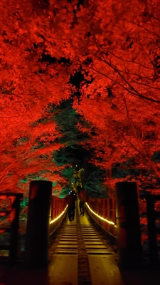 【ちなつ】です😄🍁✨