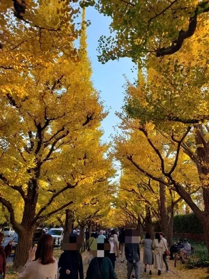 【ちなつ紅葉編】😄🍂✨