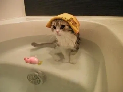 ✨♨️いい風呂の日♨️✨