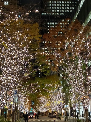 【ちなつイルミネーション編】😄🎄✨