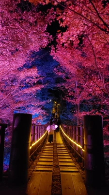 【ちなつ紅葉ライトアップ編】😄🍁✨