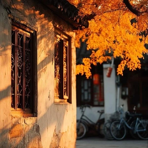 おっはニャンฅ•ﻌ•ฅ☀️✨