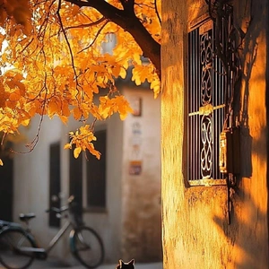 おっはニャンฅ•ﻌ•ฅ☀️✨